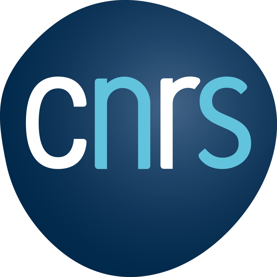 Logo CNRS