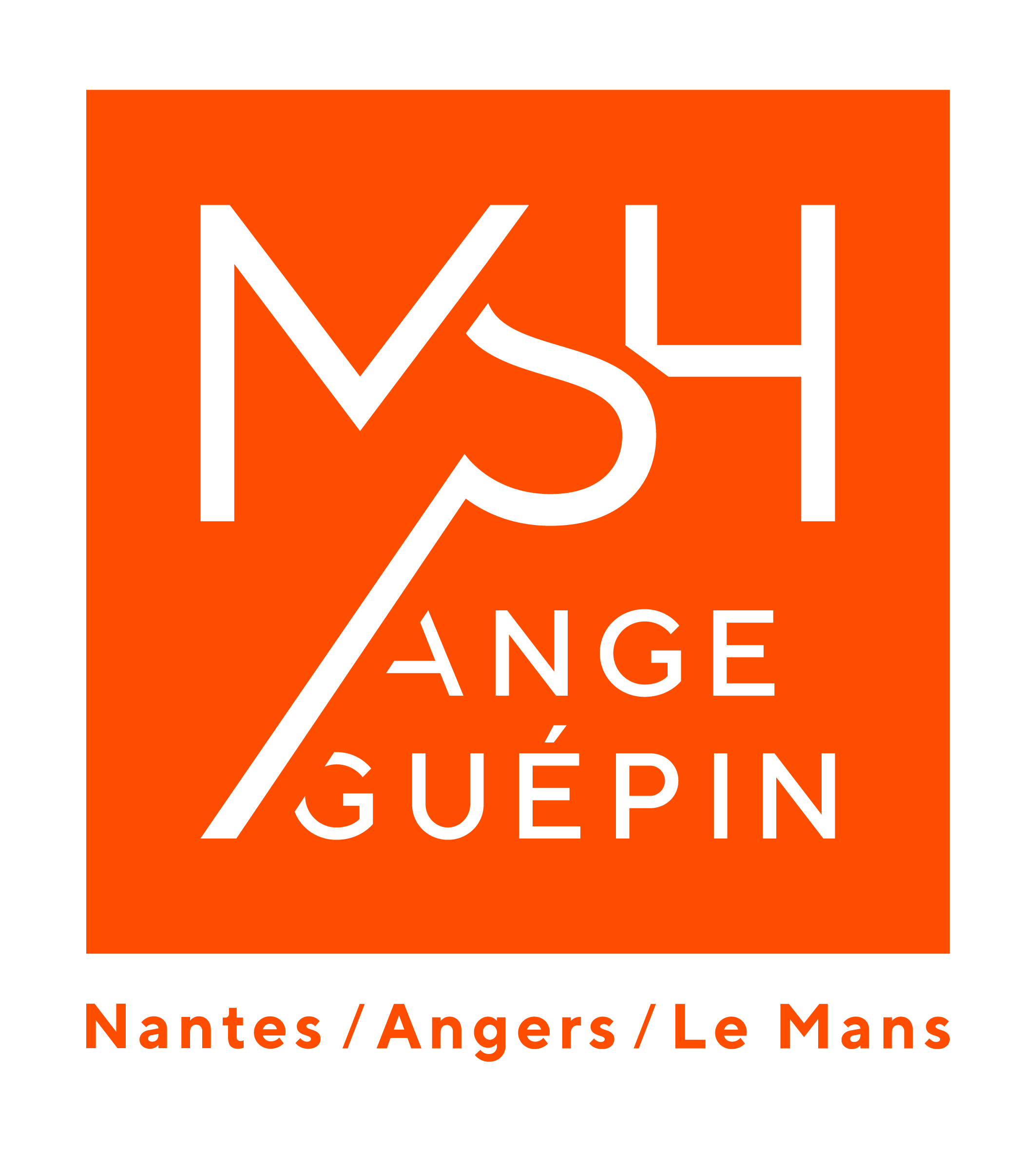 Logo MSH